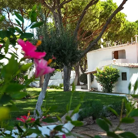 Acoteias 203 Апартаменты