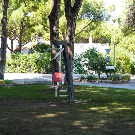 Acoteias 203 * البوفيرا