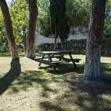 Апартаменты Acoteias 203